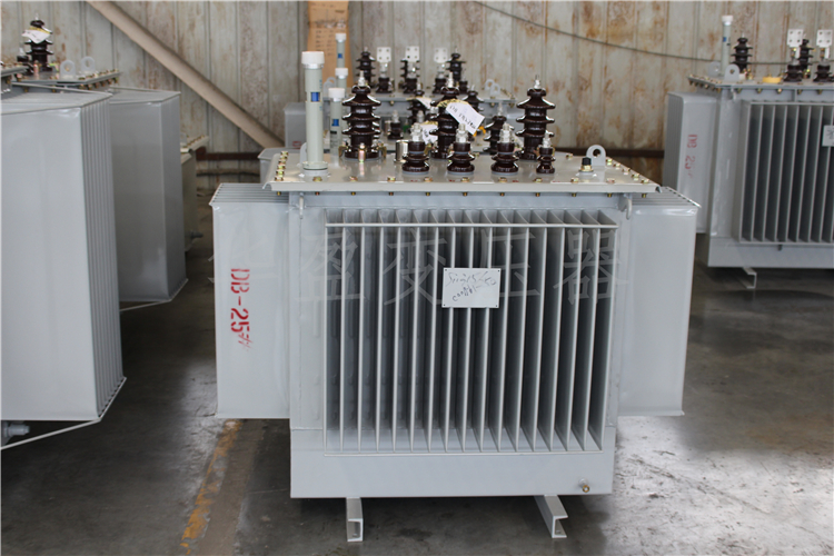 三亚S20-800kVA/10kV/0.4kV变压器